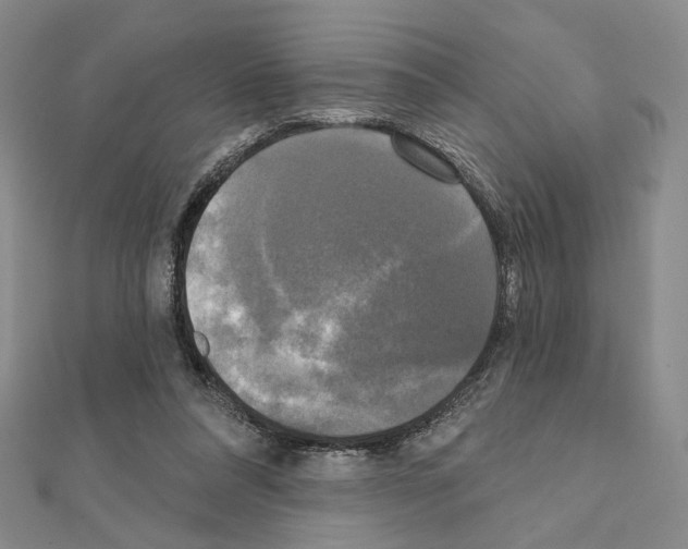 X0000111220304200908131107