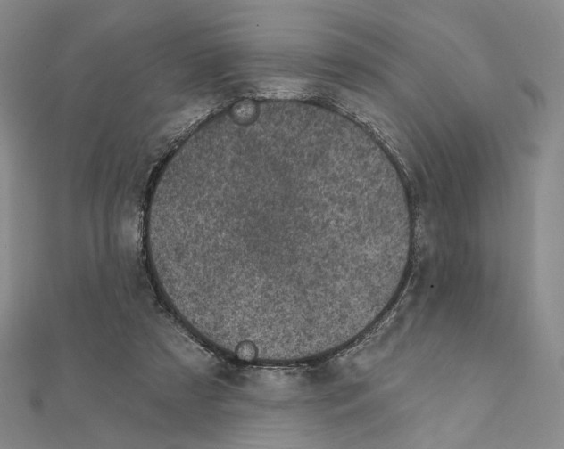 X0000111220305200908131107