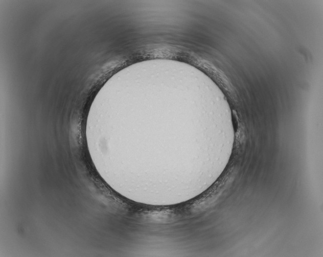 X0000111220306200908131107