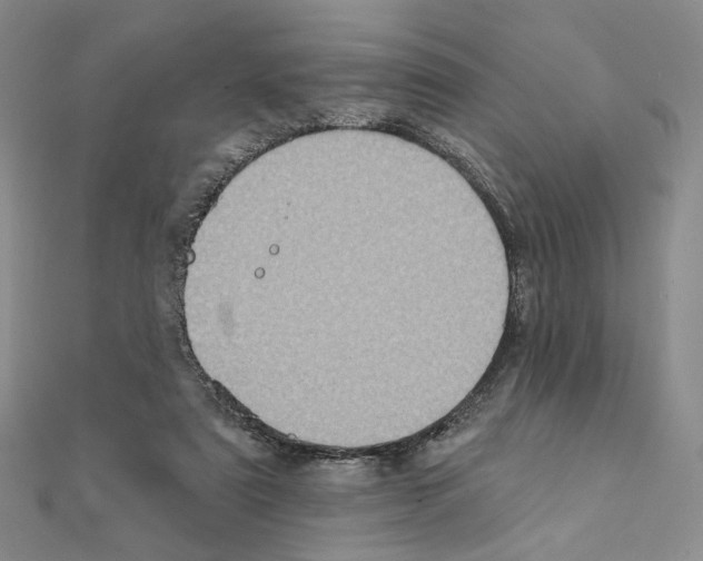 X0000111220307200908131107