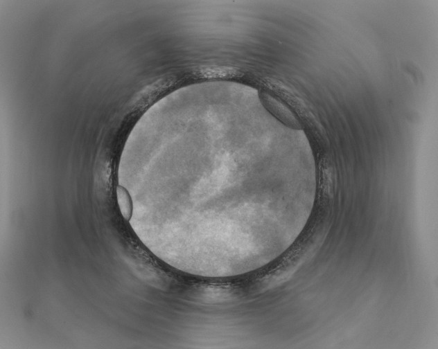 X0000111220308200908131107