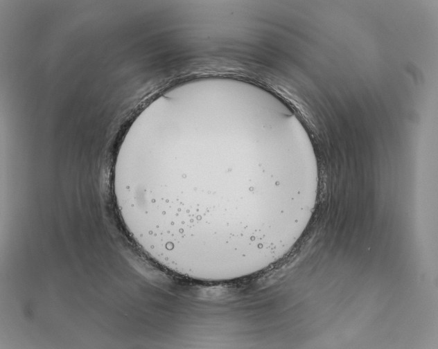 X0000111220309200908131107