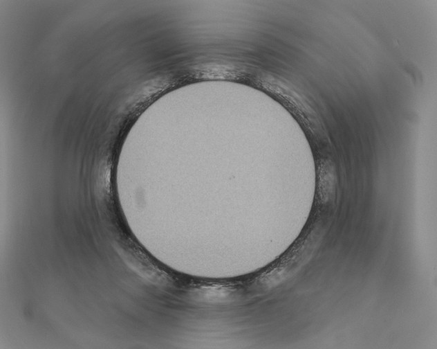 X0000111220310200908131107