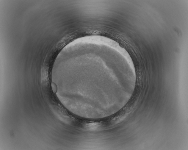 X0000111220312200908131107