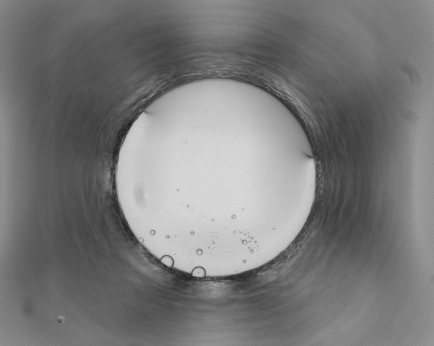 X0000111220313200908131107