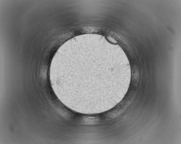 X0000111220315200908131107