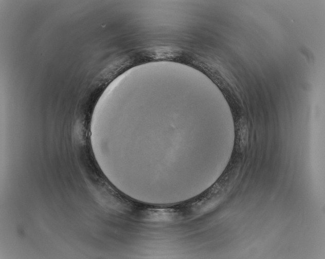 X0000111220316200908131107