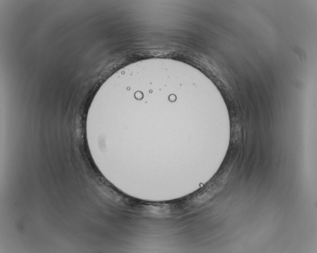 X0000111220317200908131107
