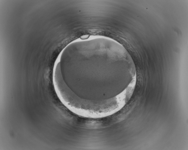 X0000111220319200908131107