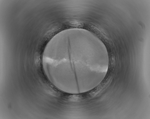 X0000111220320200908131107