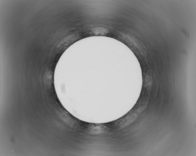 X0000111220321200908131107