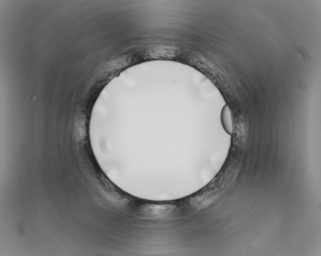 X0000111220323200908131107