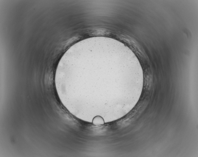 X0000111220326200908131107