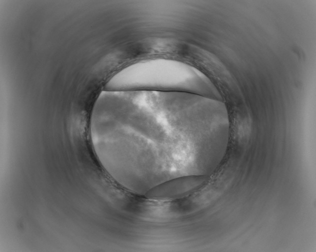 X0000111220328200908131107