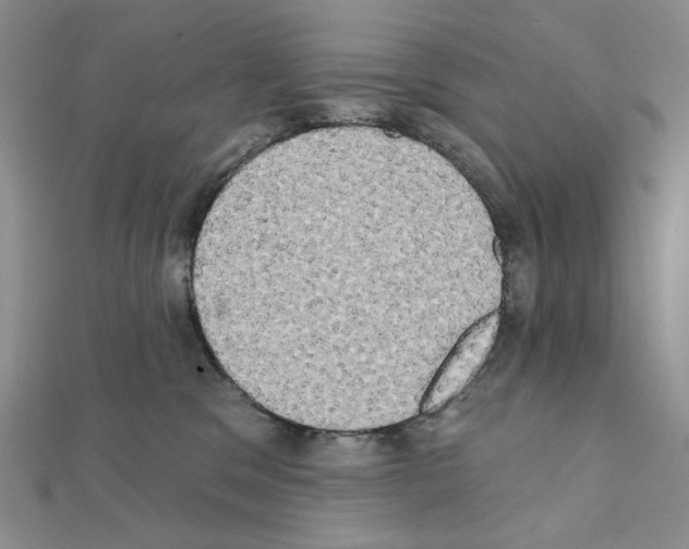 X0000111220329200908131107