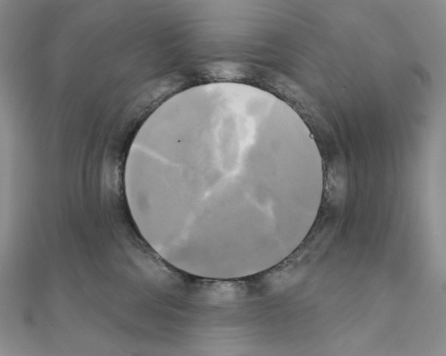 X0000111220330200908131107