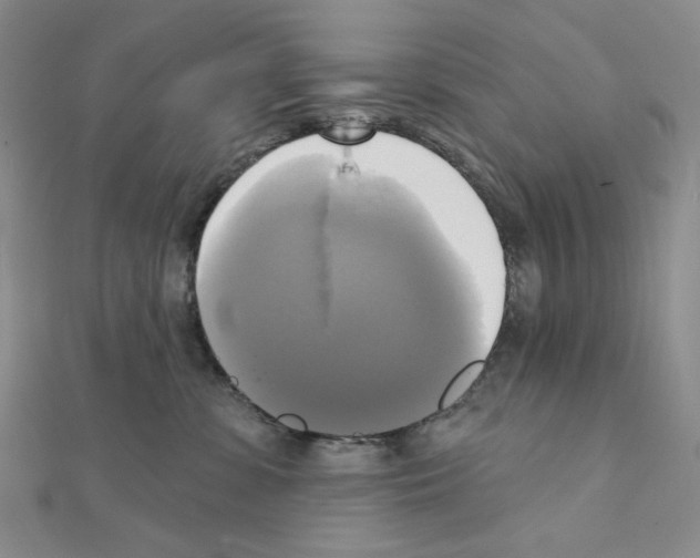 X0000111220331200908131107