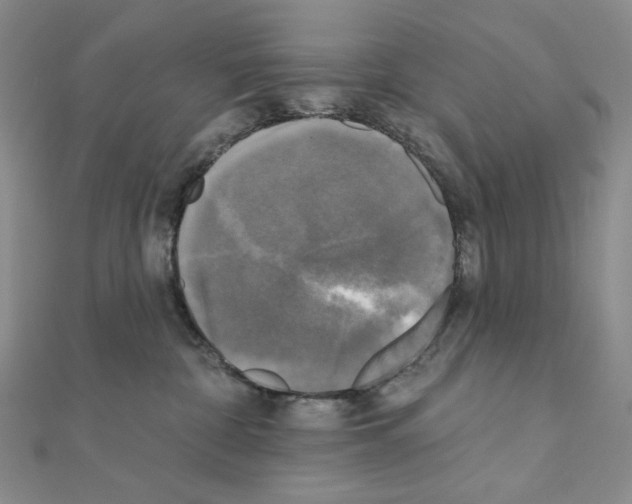 X0000111220332200908131107