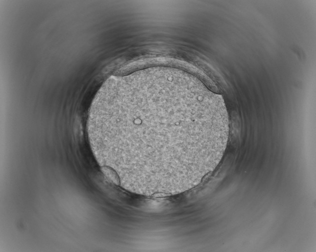 X0000111220333200908131107
