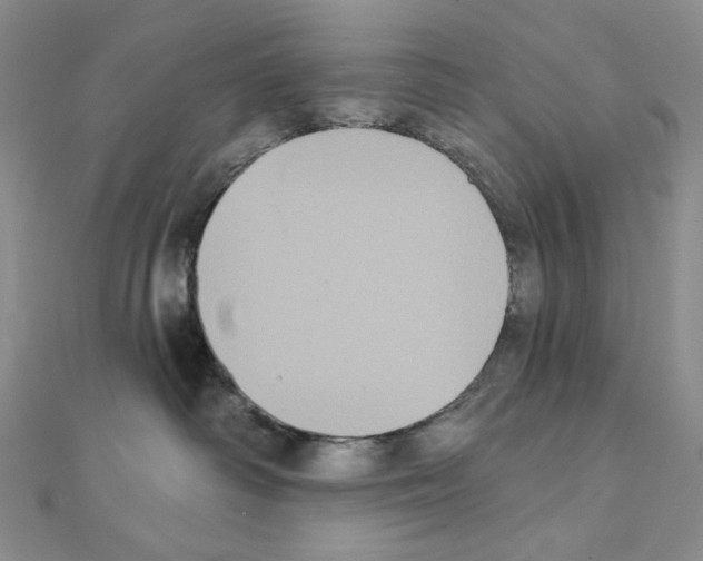 X0000111220334200908131107