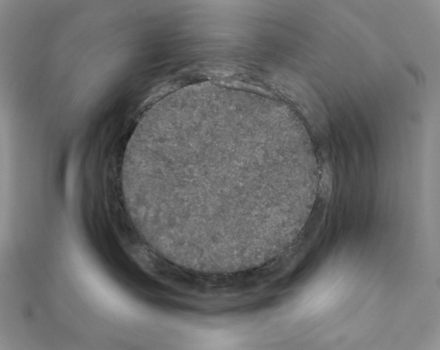 X0000111220335200908131107