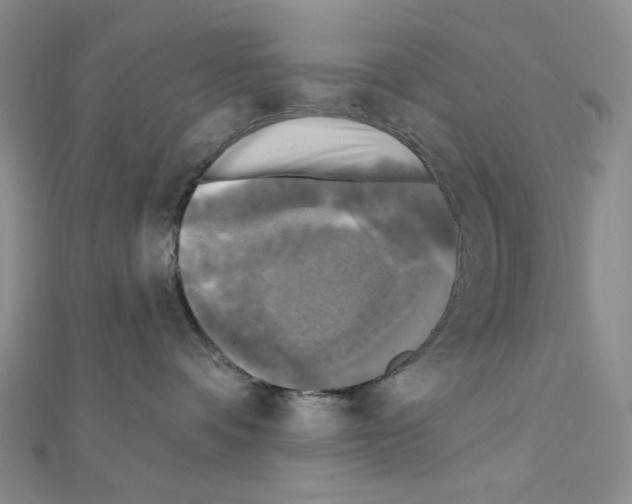 X0000111220336200908131107