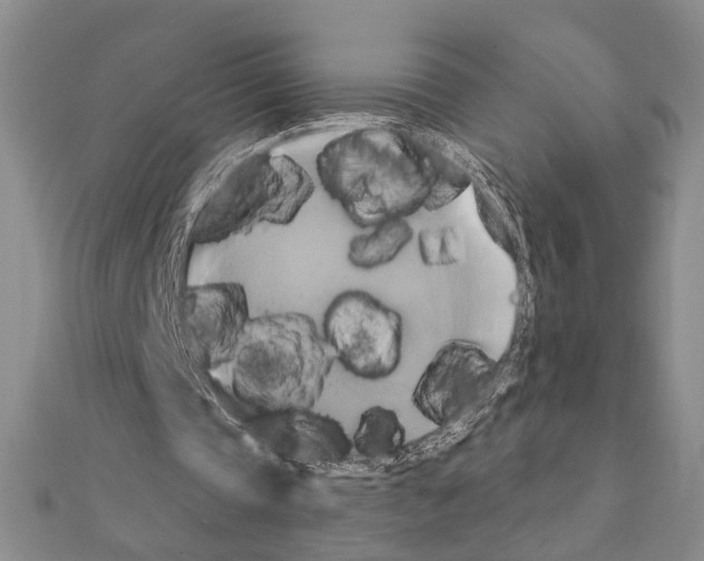X0000111220337200908131106