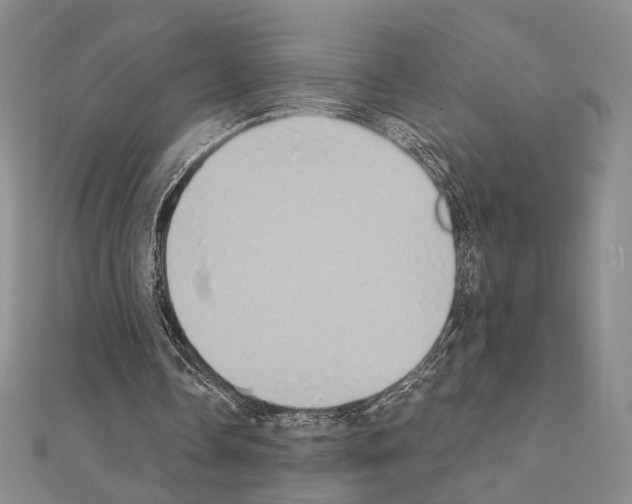 X0000111220338200908131106