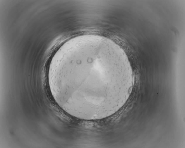 X0000111220339200908131106