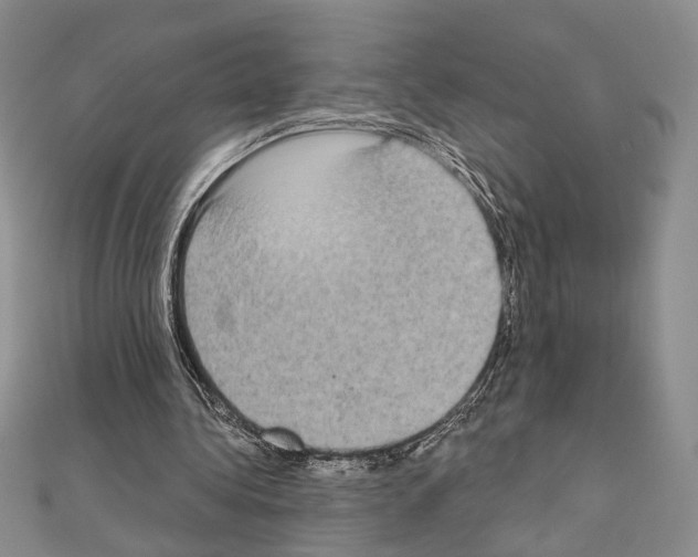 X0000111220340200908131106