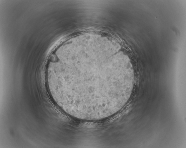 X0000111220341200908131106