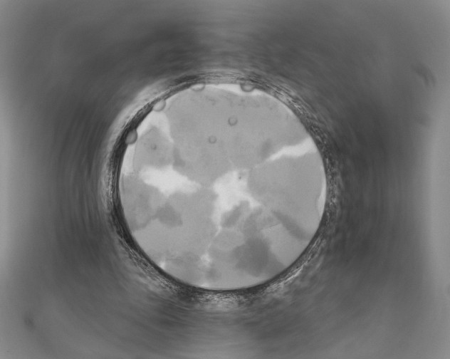 X0000111220343200908131107