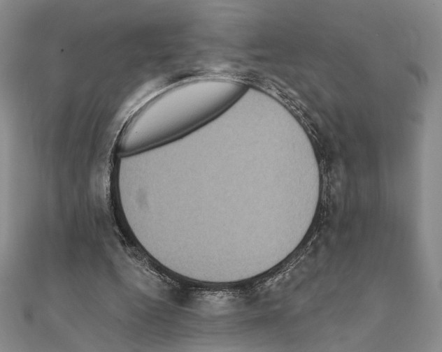 X0000111220344200908131107