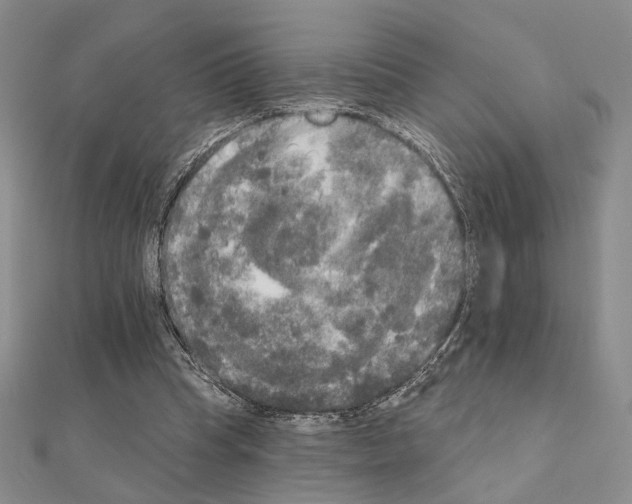 X0000111220345200908131107