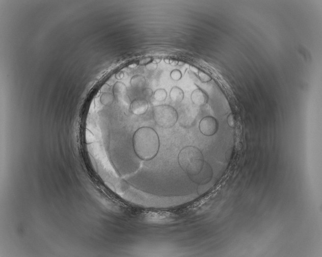 X0000111220346200908131107