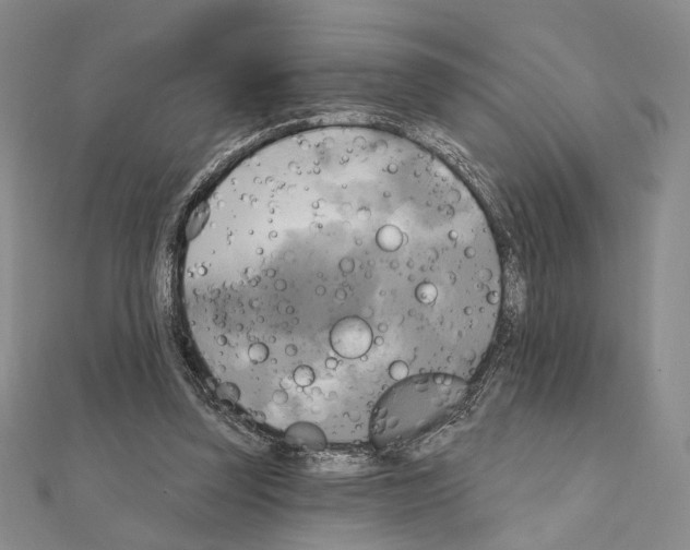 X0000111220347200908131107
