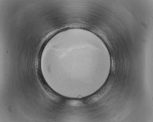 X0000111220348200908131107