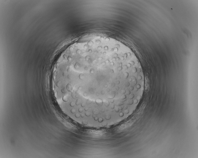 X0000111220349200908131107