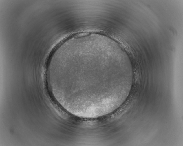 X0000111220350200908131107
