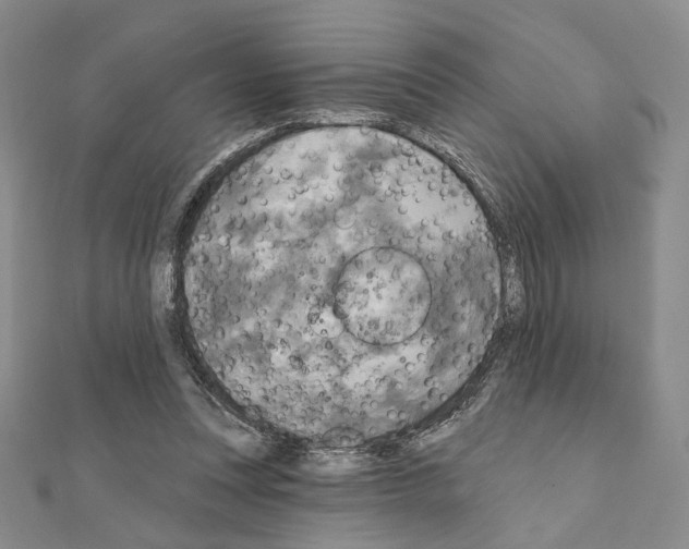 X0000111220351200908131107