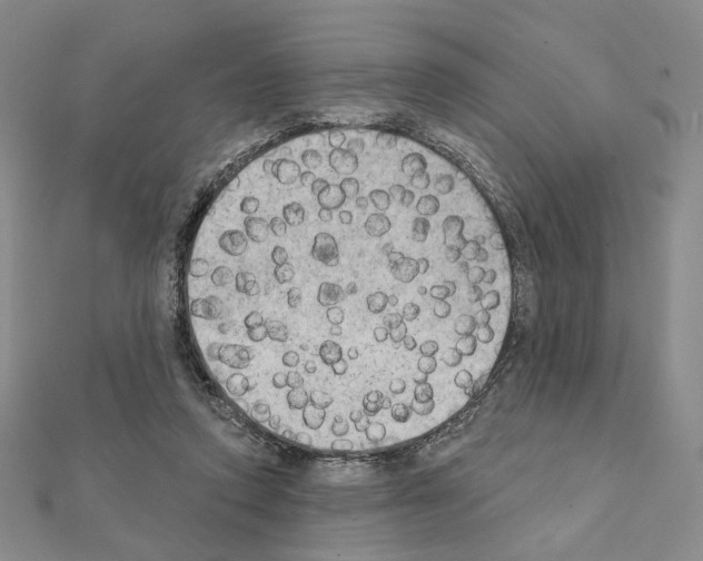 X0000111220354200908131107