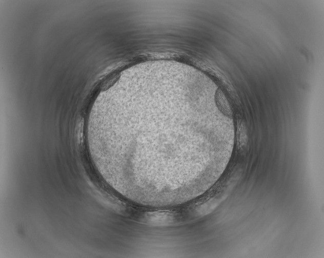 X0000111220356200908131107