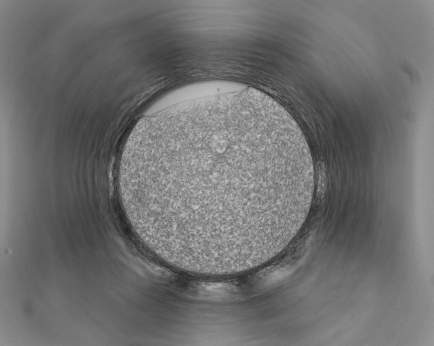 X0000111220360200908131107