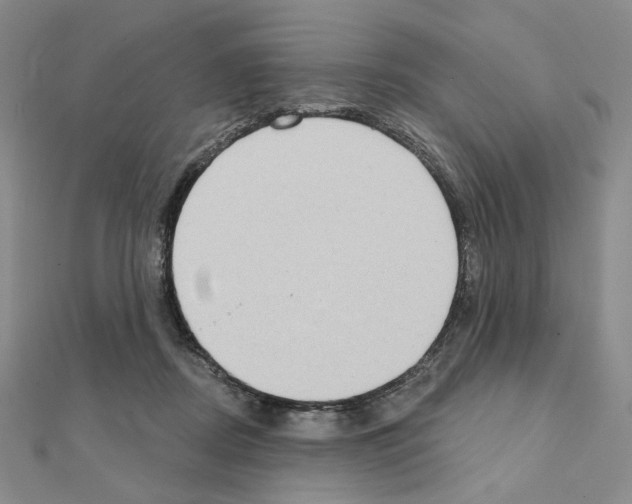 X0000111220362200908131107