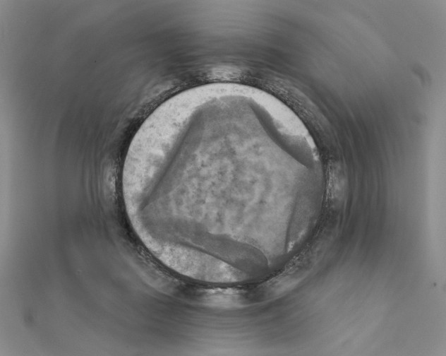 X0000111220363200908131107