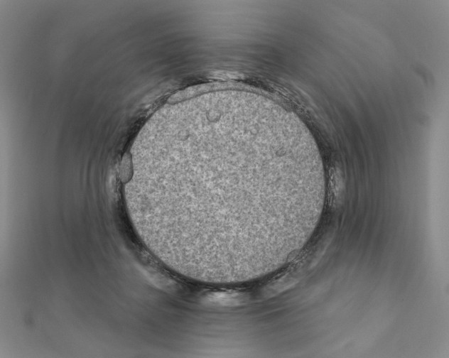 X0000111220364200908131107