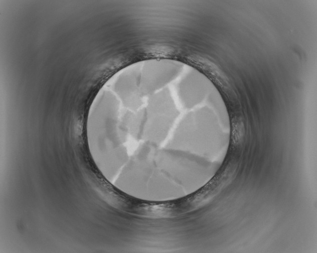 X0000111220365200908131107
