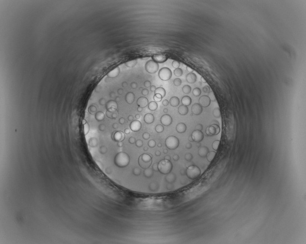X0000111220366200908131107