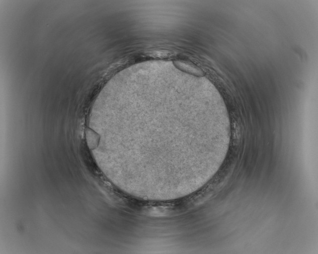 X0000111220368200908131107
