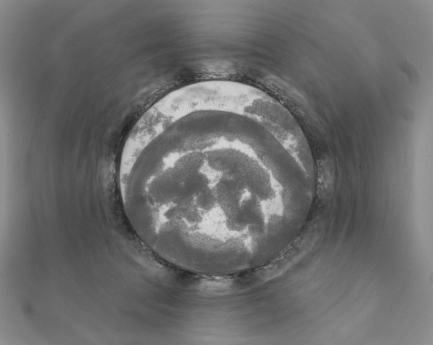 X0000111220369200908131107
